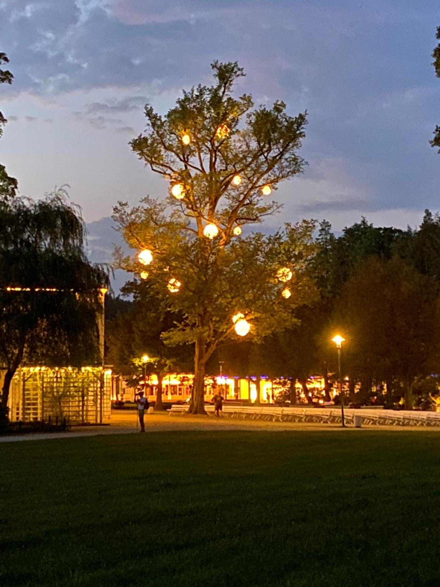 Roland Ranft Direkt Am Kurpark Barrierearm 60qm Apartment